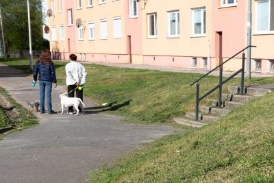 Kutyagazdák figyelem! A városi rendőrség jogosult ellenőrizni a kutyatulajdonosokat