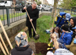 Deň Zeme: V  každej škole a škôlke zasadili stromy
